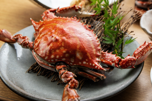 お食事