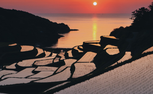 浜ノ浦の棚田