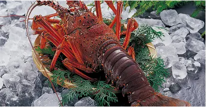 伊勢海老(要事前予約)